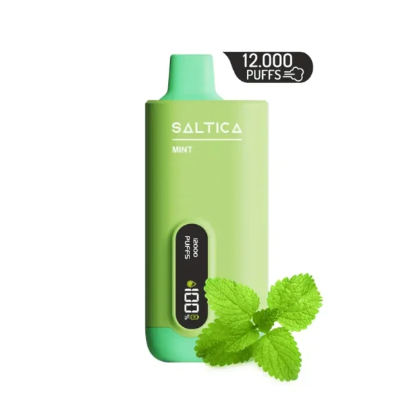 Saltica 12000 Puff Ekranlı Mint