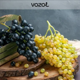 Vozol Aloe Grape Aroma Diy Kit