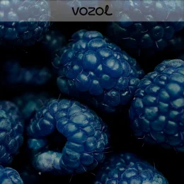 Vozol Blue Razz Lemon Aroma Diy Kit