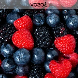 Vozol Mixed Berries Aroma Diy Kit