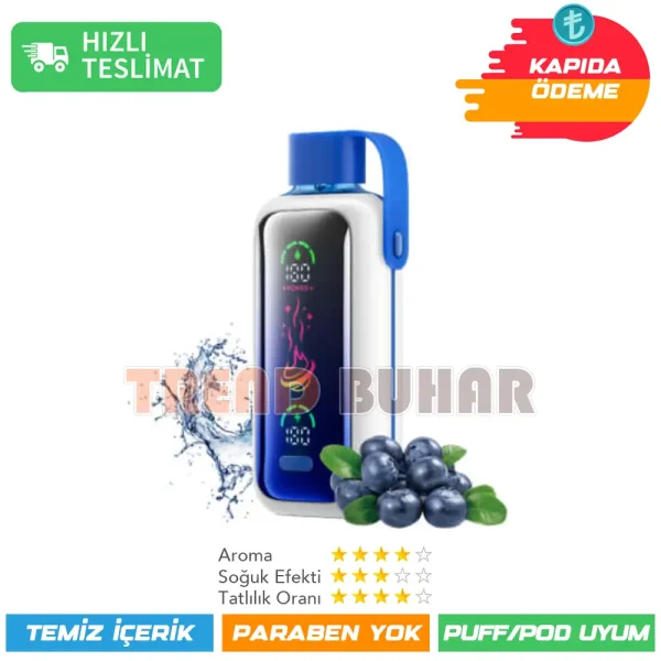 Vozol Star 20000 Puff Blueberry Storm