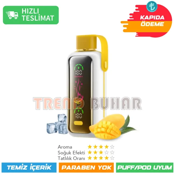 Vozol Star 20000 Puff Mango ice