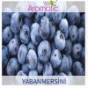 yabanmersini-aroma