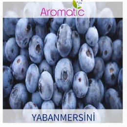 yabanmersini-aroma